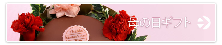 ��̓��M�t�g