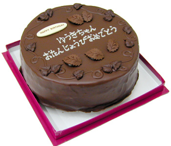 �V���R���P�[�L �ی^