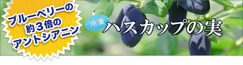 �Ⓚ�n�X�J�b�v�̎� �� 2011�N�V���\��J�n�I