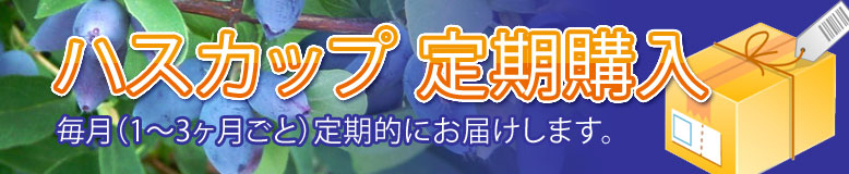 �n�X�J�b�v����w��