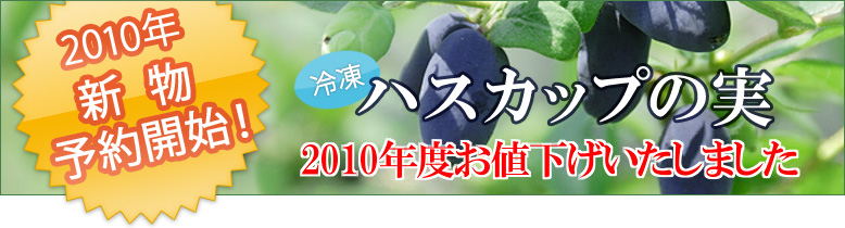 �Ⓚ�n�X�J�b�v�̎� �� 2010�N�V���\��J�n�I