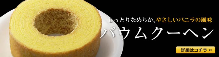 �o�E���N�[�w��