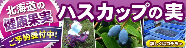 �n�X�J�b�v�D�]������