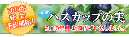 �Ⓚ�n�X�J�b�v�̎�2010�N�V���̔��J�n�I����ɂ��l�����������܂����B