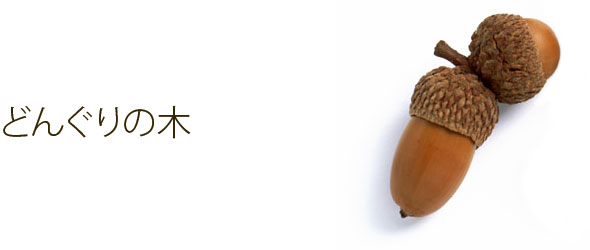 �ǂ񂮂�̖�