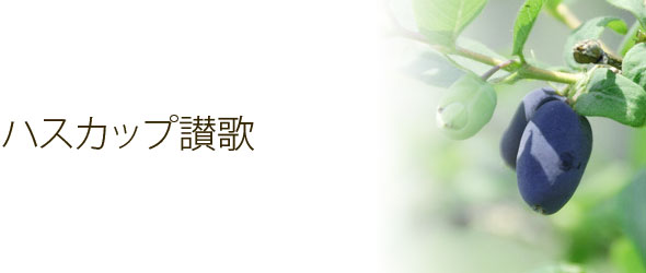 �n�X�J�b�v�]��