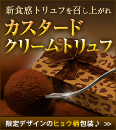�J�X�^�[�h�N���[���g�����t