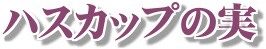 nXJbv̎
