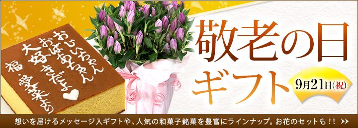 2020�N�@��M���h�V�̓��M�t�g���W