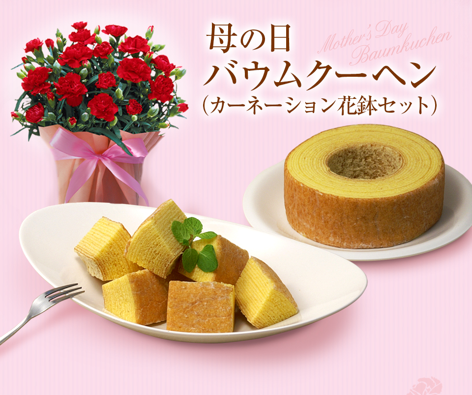 【バウムクーヘン】しっとりなめらか、やさしいバニラの風味