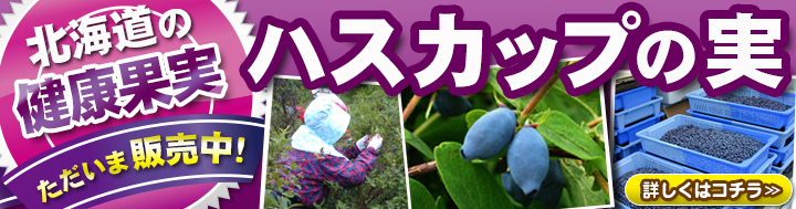 �k�C���̌��N�ʎ�-�n�X�J�b�v�̎��@�̔��J�n�������܂����I