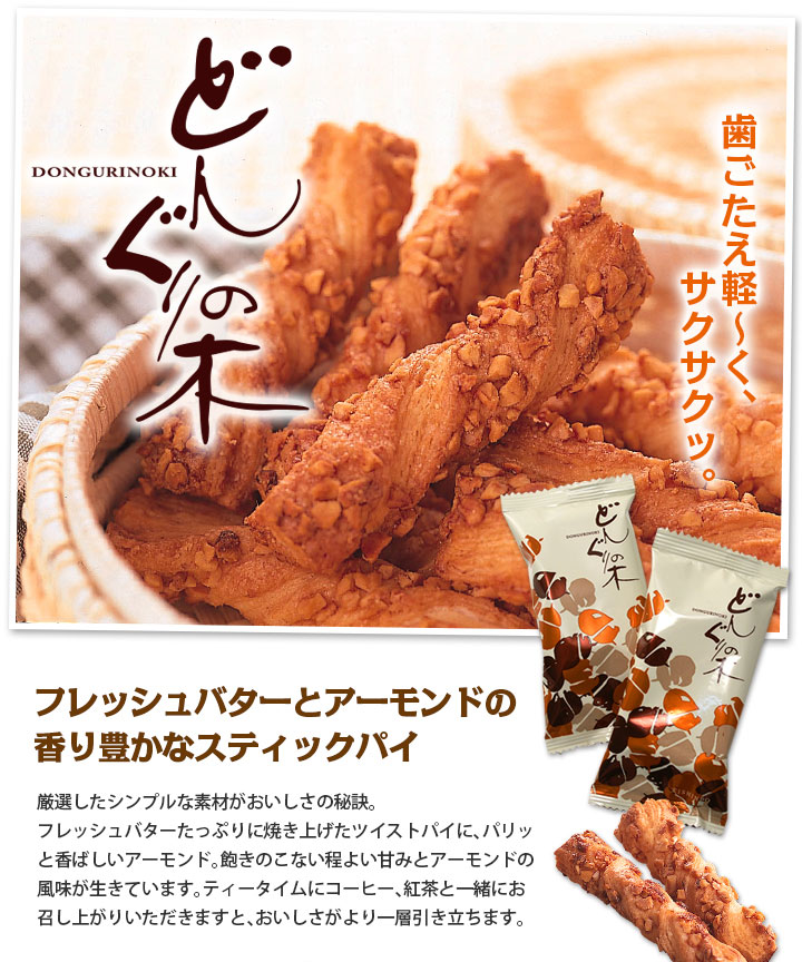 どんぐりの木写真1 どんぐりの木