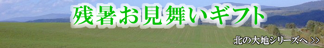 OX̋u